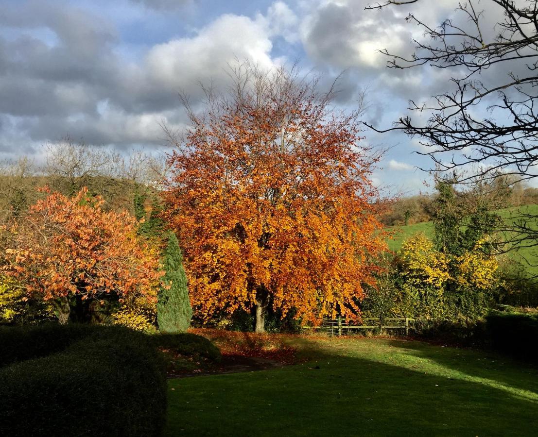 Valley View Farm, Batcombe Bed and Breakfast Shepton Mallet Eksteriør billede